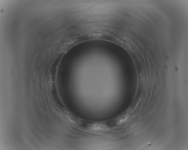 X0000073750223200608241355