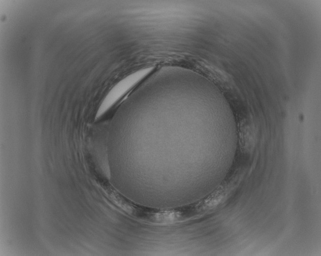 X0000073750225200608241355