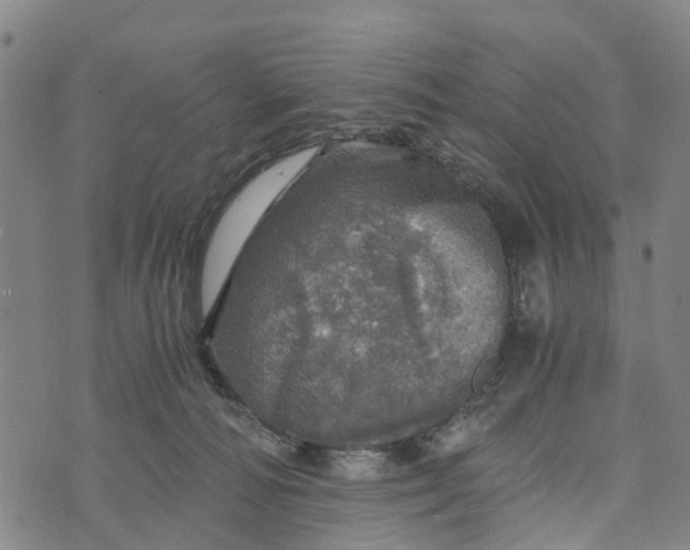 X0000073750226200608241355