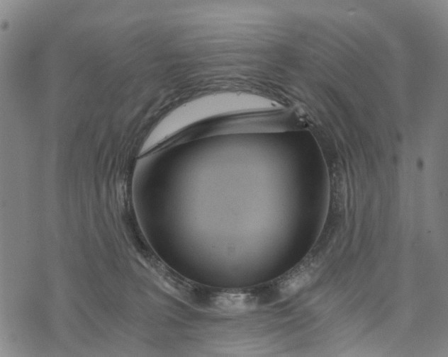 X0000073750227200608241355