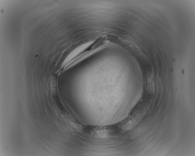 X0000073750228200608241355