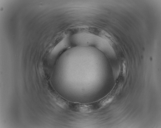 X0000073750229200608241355