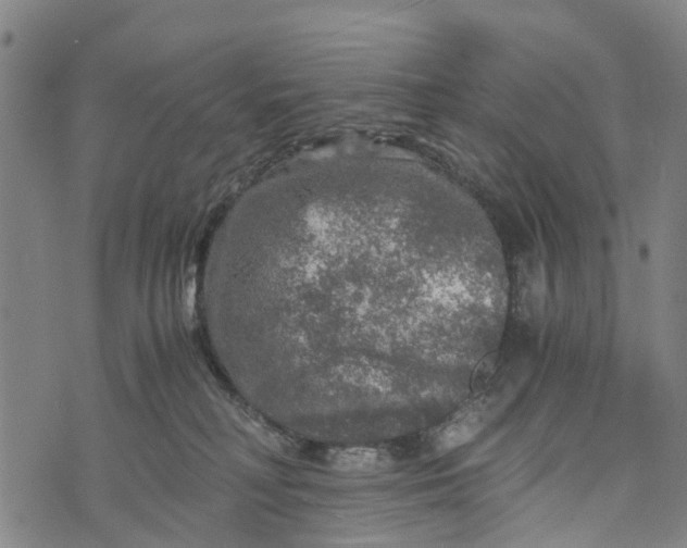 X0000073750230200608241355