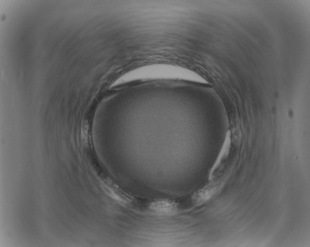 X0000073750231200608241355