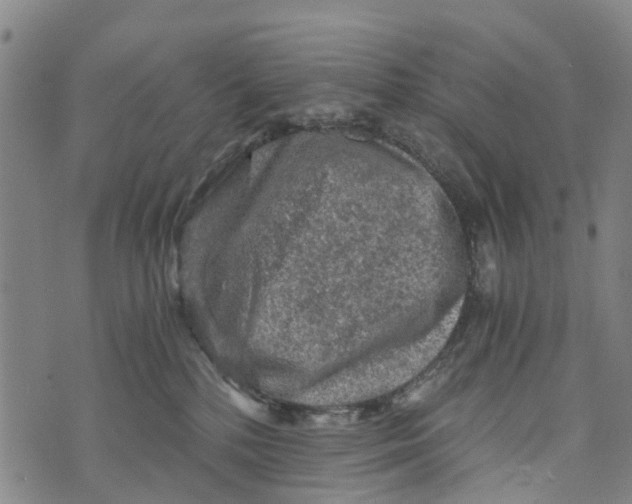 X0000073750232200608241355