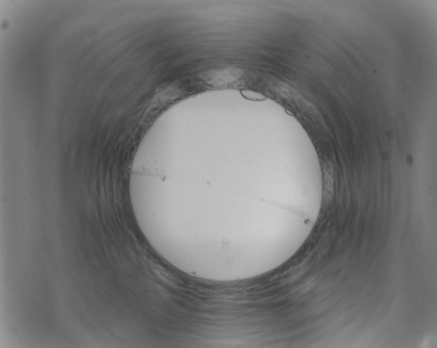 X0000073750234200608241355