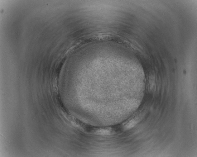 X0000073750236200608241355