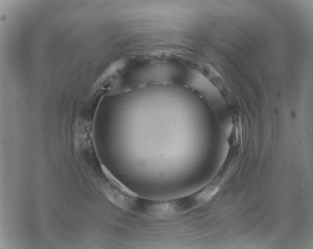 X0000073750237200608241355