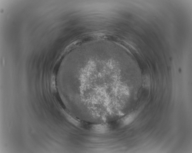 X0000073750238200608241355