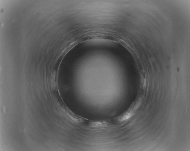 X0000073750239200608241355