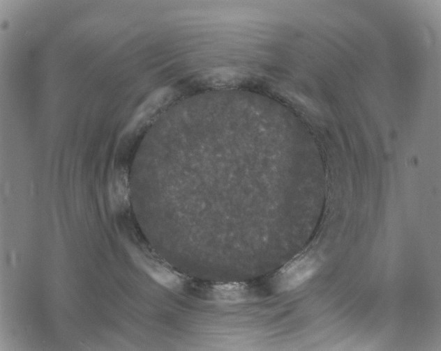 X0000073750240200608241355