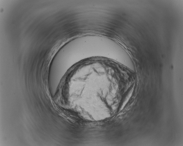 X0000073750241200608241354