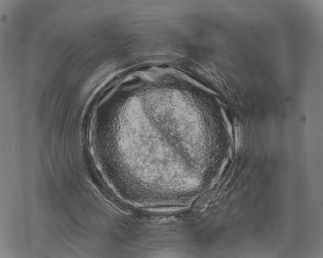 X0000073750243200608241354