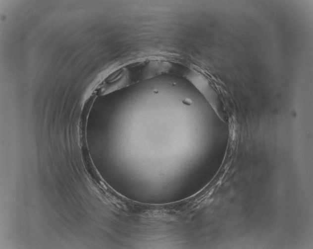 X0000073750244200608241354