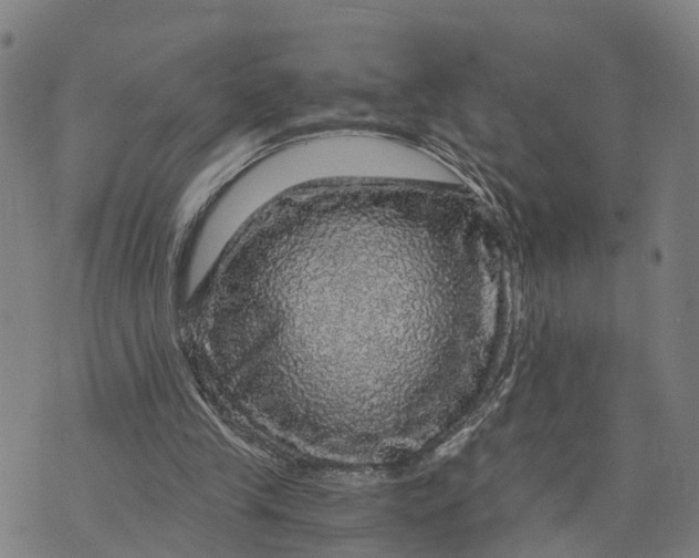 X0000073750245200608241354