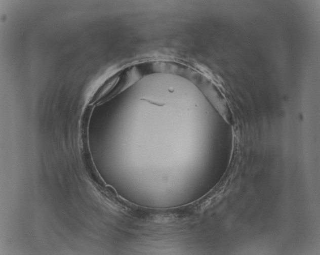 X0000073750248200608241354