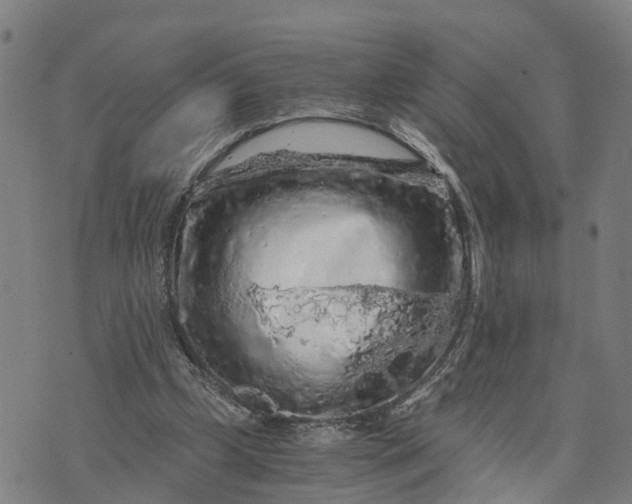 X0000073750249200608241354