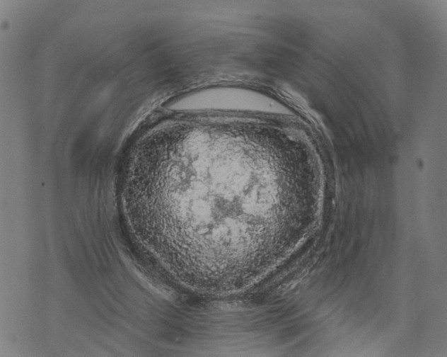 X0000073750250200608241354