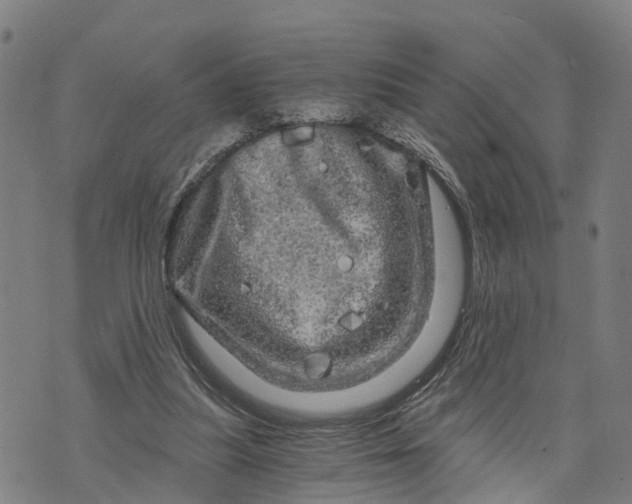 X0000073750251200608241354