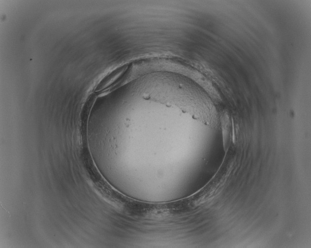 X0000073750252200608241354