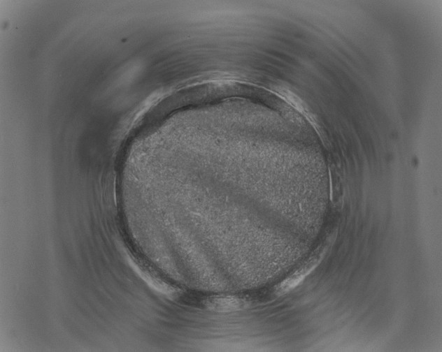 X0000073750253200608241354