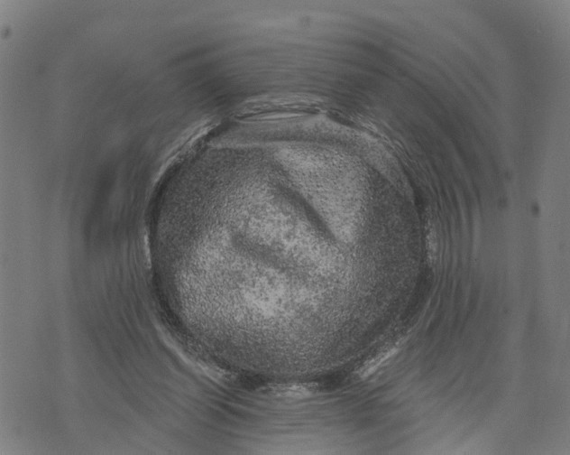 X0000073750254200608241354