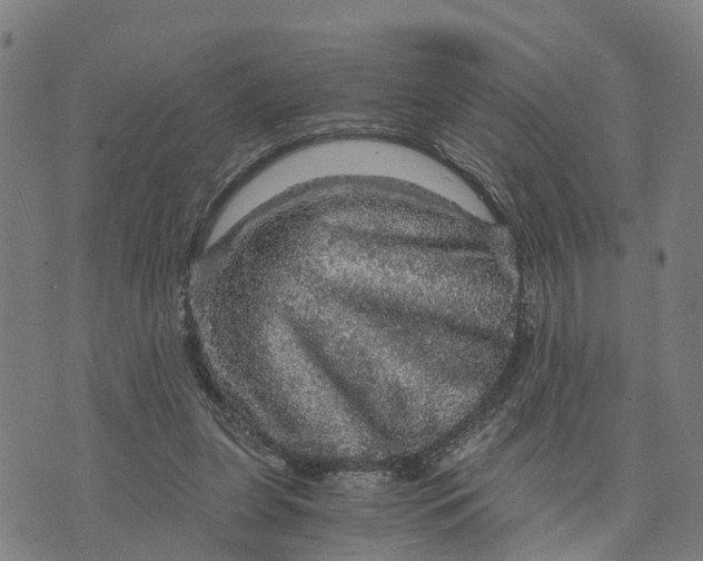 X0000073750255200608241354