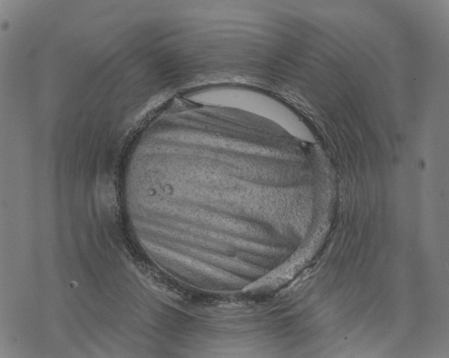 X0000073750256200608241354