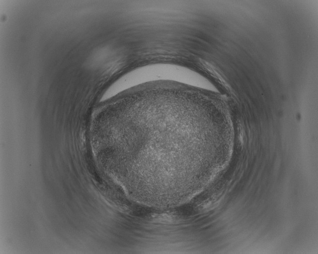 X0000073750259200608241354