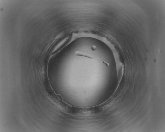 X0000073750260200608241354