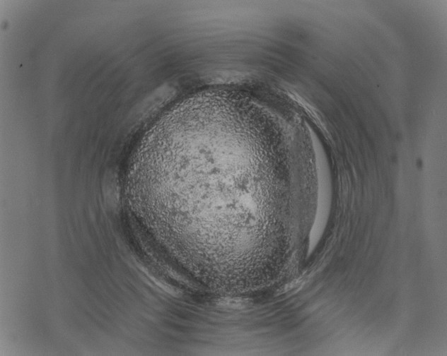 X0000073750261200608241354