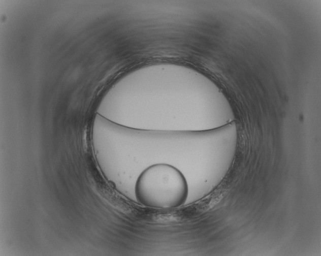 X0000073750262200608241354