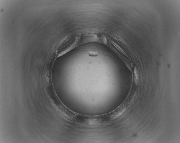 X0000073750264200608241354