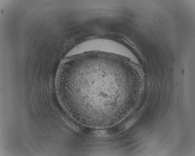 X0000073750265200608241354