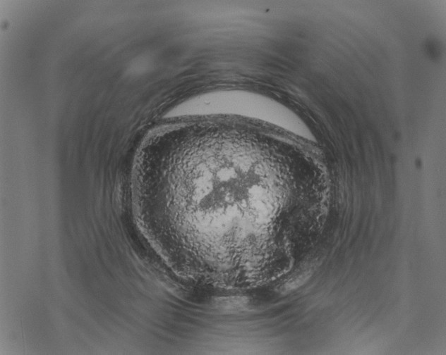 X0000073750266200608241354