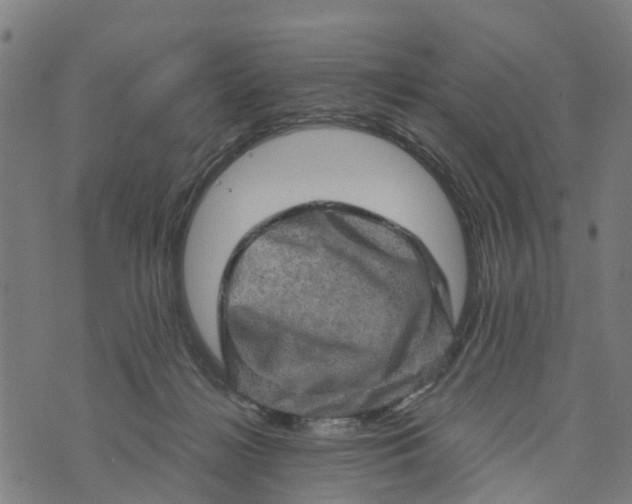 X0000073750268200608241354