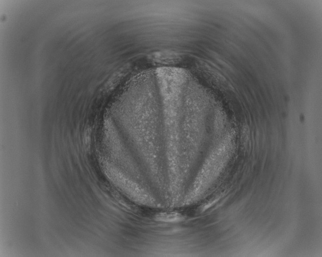 X0000073750271200608241354