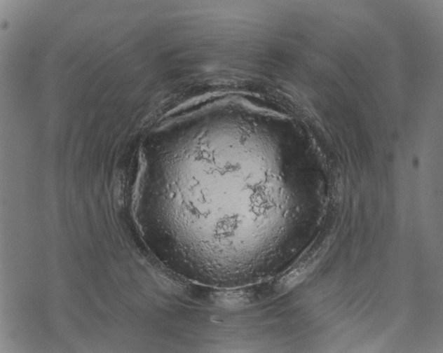 X0000073750273200608241354