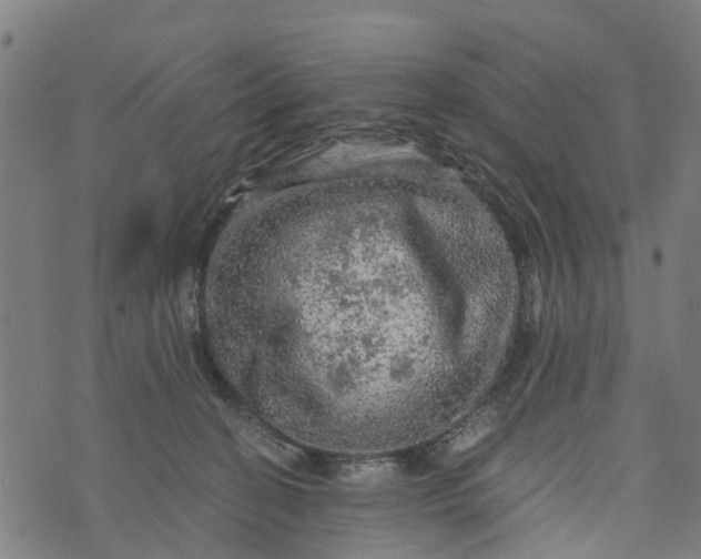 X0000073750274200608241354