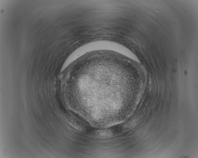 X0000073750275200608241354