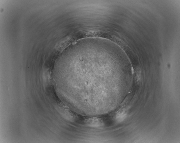 X0000073750276200608241354