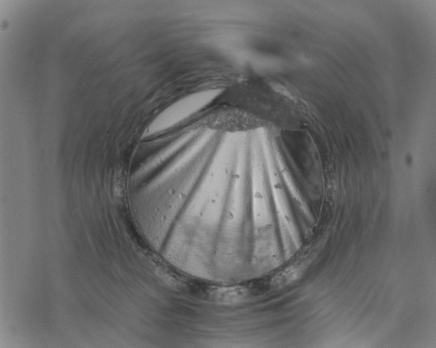 X0000073750277200608241354