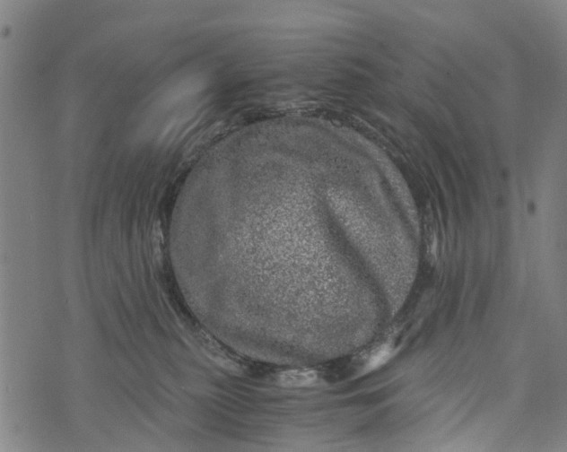 X0000073750279200608241354