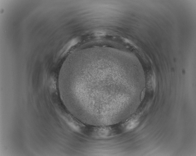 X0000073750282200608241354