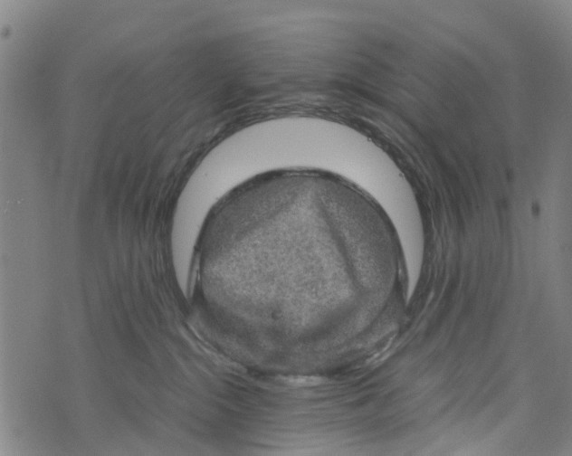 X0000073750284200608241355