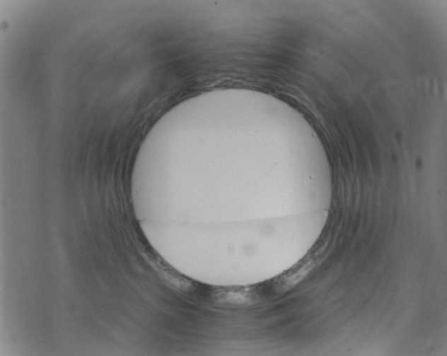 X0000073750285200608241355