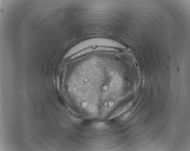 X0000073750287200608241355