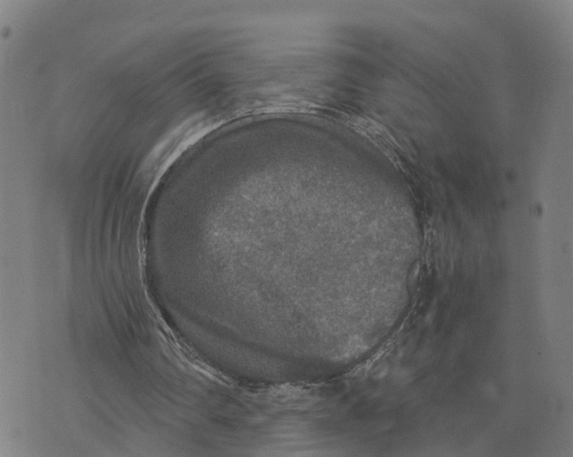 X0000073750290200608241354