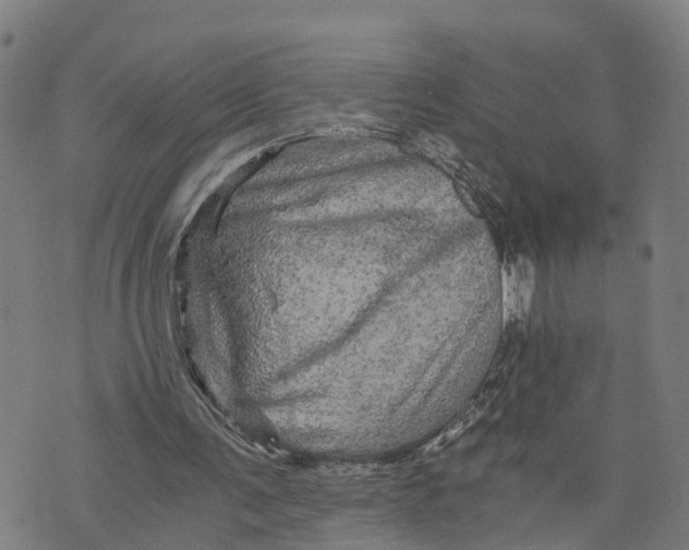 X0000073750291200608241354