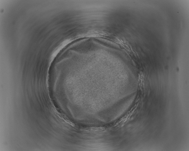 X0000073750292200608241354